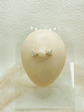 CERRAHİ ÇELİK ALTIN RENGİ GÖĞÜS UCU PİERCİNG KÜPE