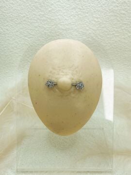 CERRAHİ ÇELİK GÜMÜŞ RENGİ GÖĞÜS UCU PİERCİNG KÜPE