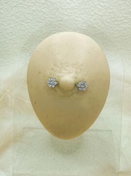 CERRAHİ ÇELİK GÜMÜŞ RENGİ GÖĞÜS UCU PİERCİNG KÜPE